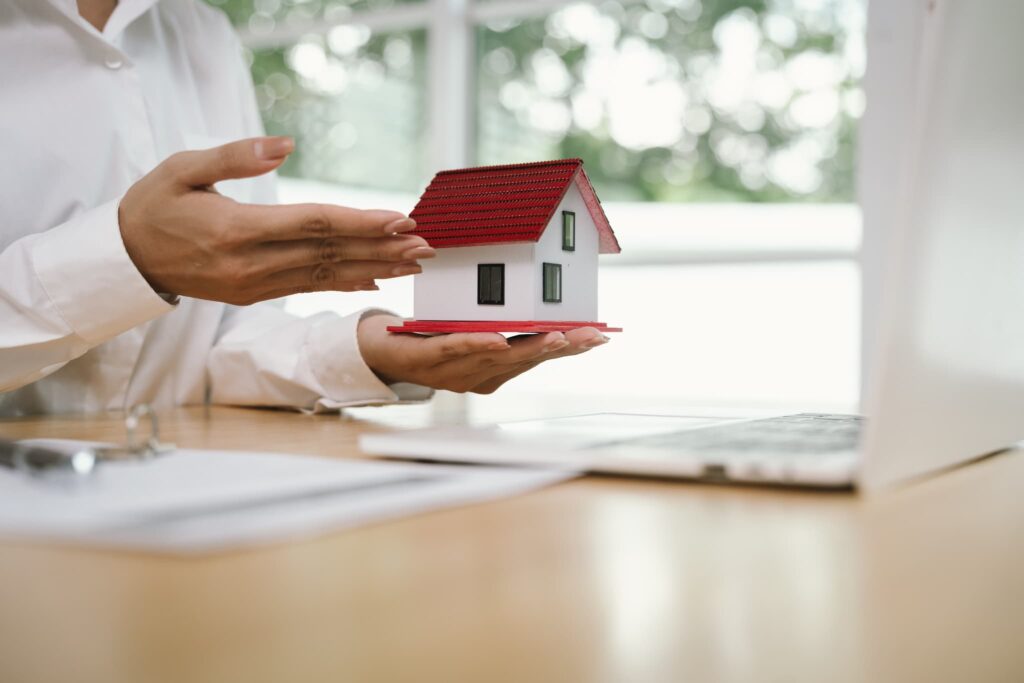 pr紹介文のメイン画像